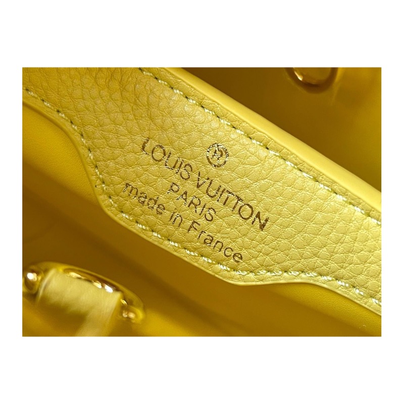 Louis Vuitton Capucines Bag