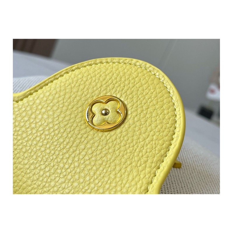 Louis Vuitton Capucines Bag