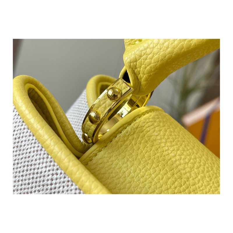 Louis Vuitton Capucines Bag