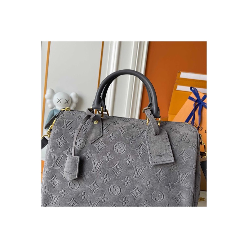 Louis Vuitton Speedy Bag