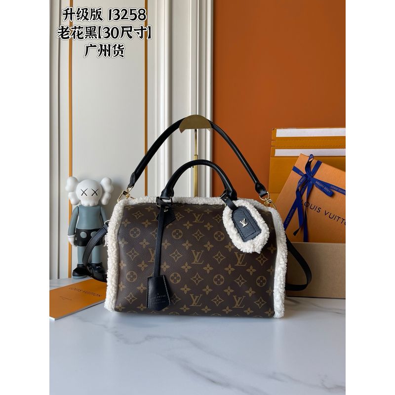 Louis Vuitton Speedy Monogram Bag