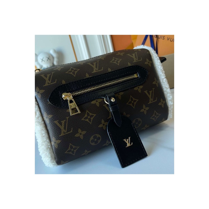 Louis Vuitton Dauphine Monogram Bag