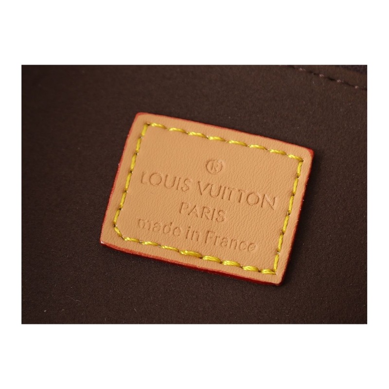 Louis Vuitton Dauphine Monogram Bag