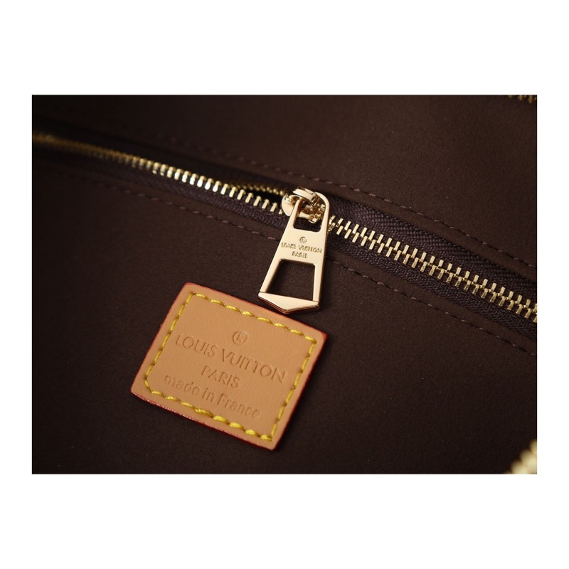 Louis Vuitton Dauphine Monogram Bag