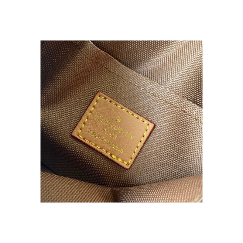 Louis Vuitton Dauphine Bag