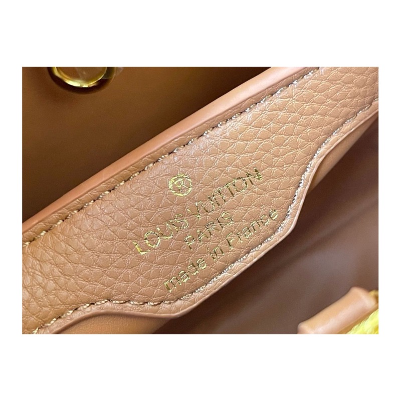 Louis Vuitton Capucines Bag
