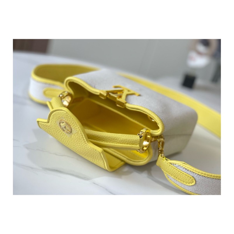 Louis Vuitton Capucines Bag
