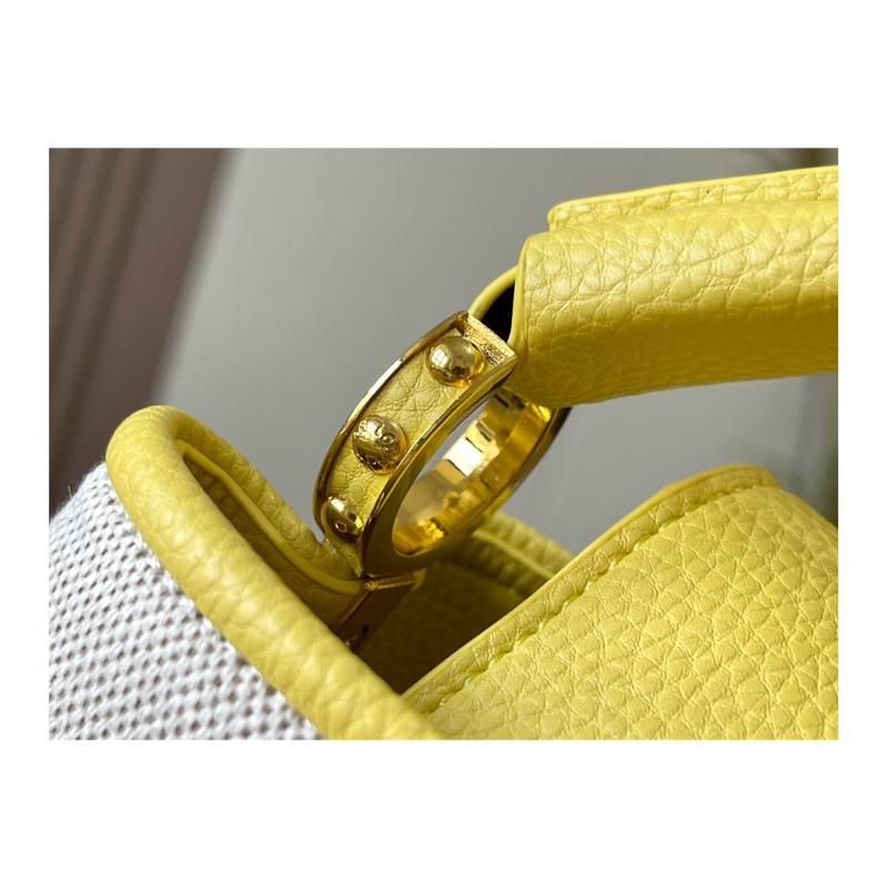 Louis Vuitton Capucines Bag
