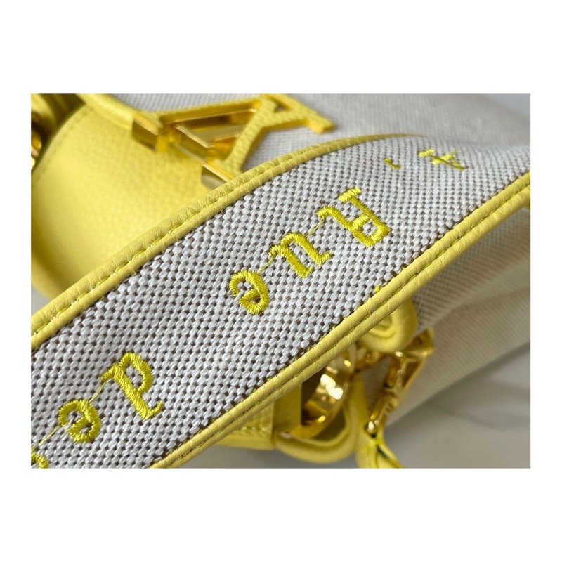 Louis Vuitton Capucines Bag
