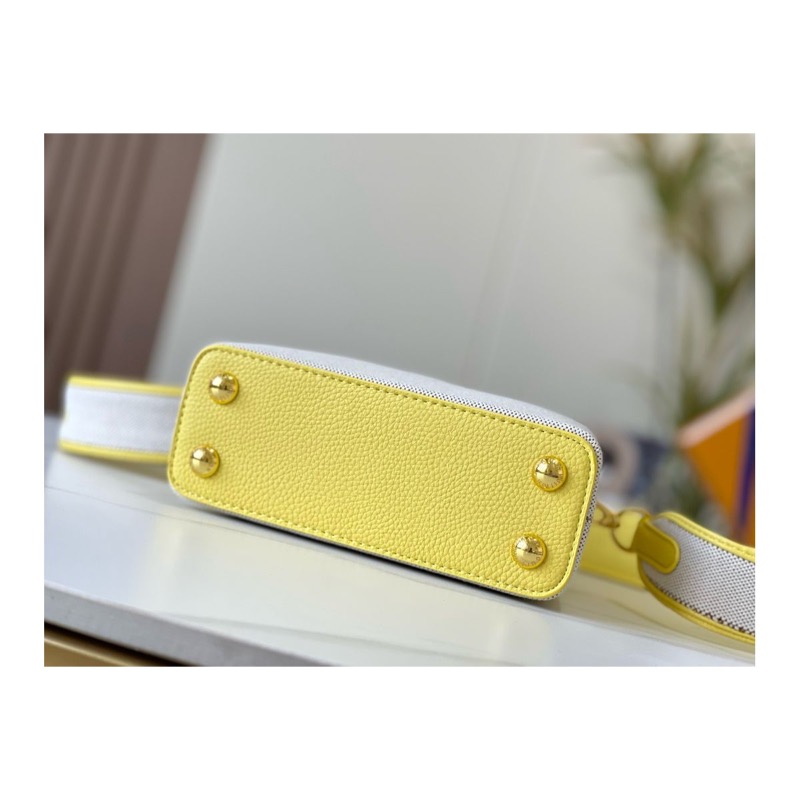 Louis Vuitton Capucines Bag