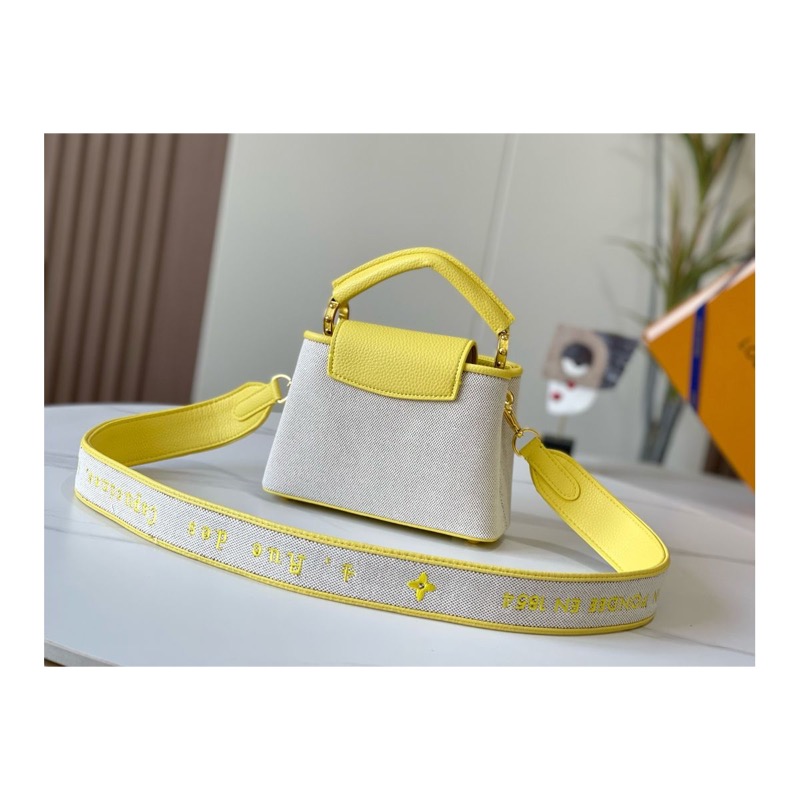 Louis Vuitton Capucines Bag