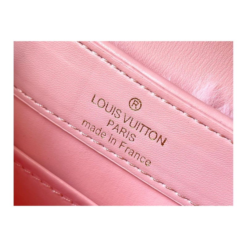 Louis Vuitton Capucines Bag