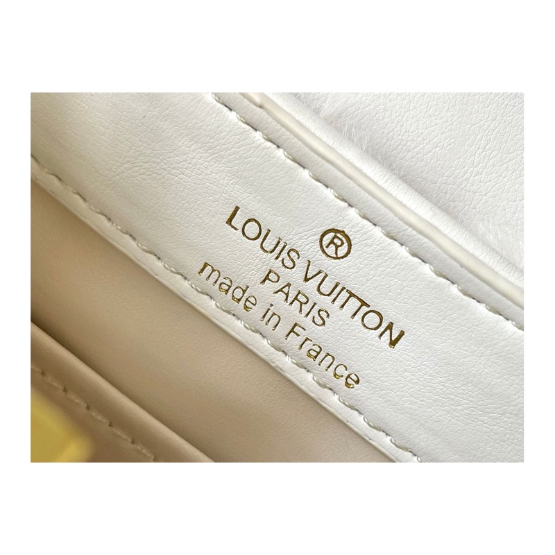 Louis Vuitton Crossbody Bag