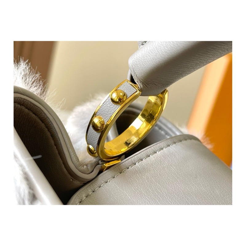 Louis Vuitton Capucines Bag