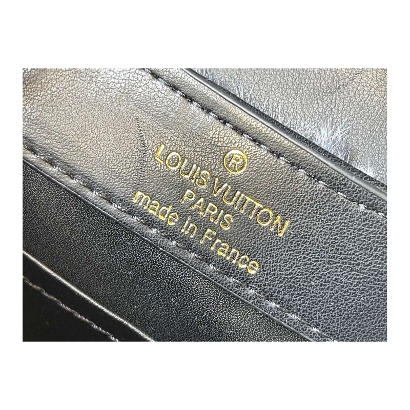 Louis Vuitton Capucines Bag