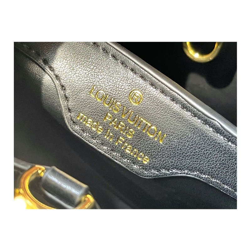 Louis Vuitton Capucines Bag