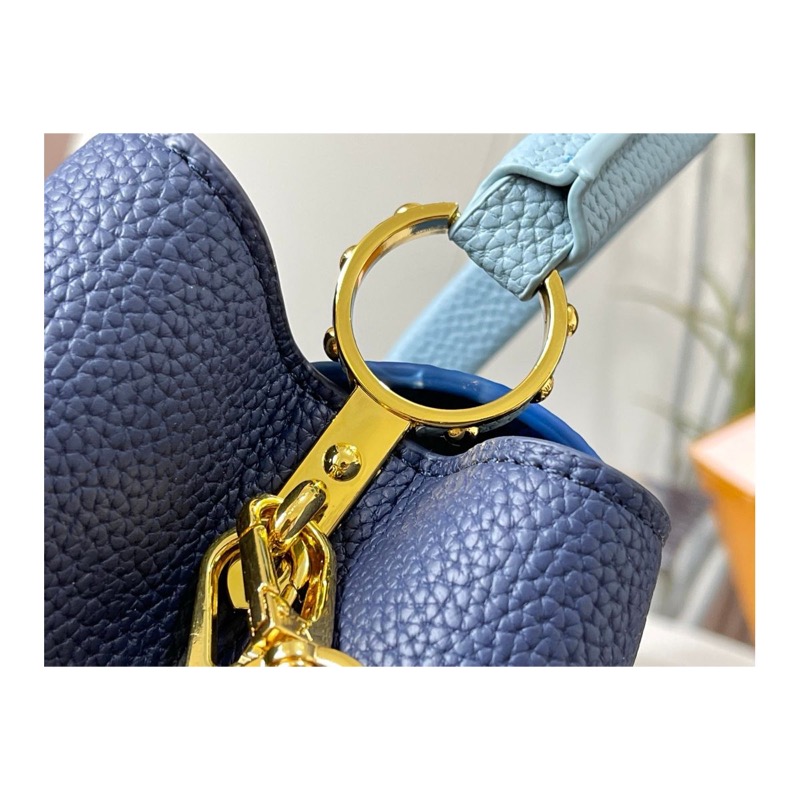 Louis Vuitton Capucines Bag