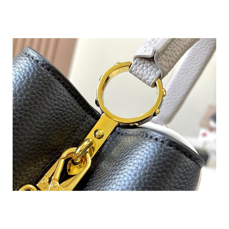 Louis Vuitton Capucines Bag