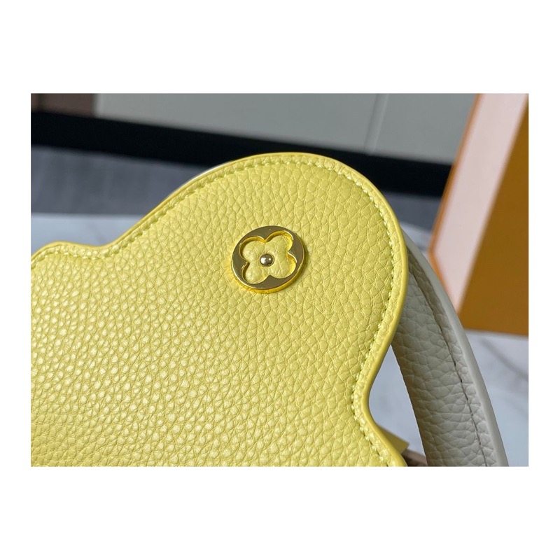 Louis Vuitton Capucines Bag