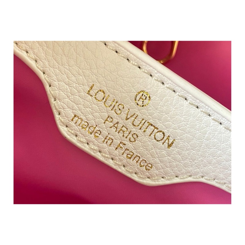 Louis Vuitton Capucines Monogram Bag