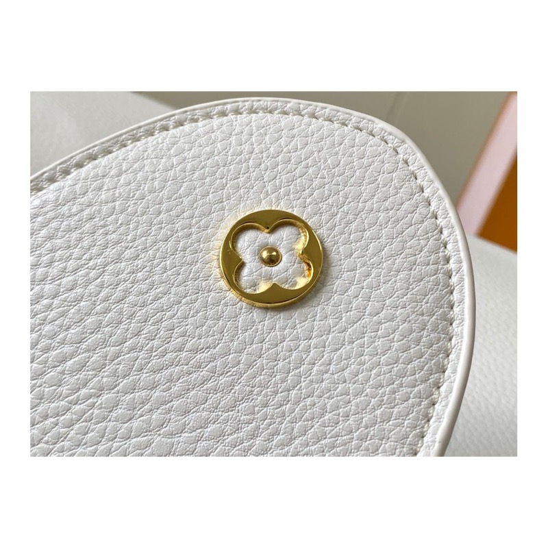 Louis Vuitton Capucines Bag