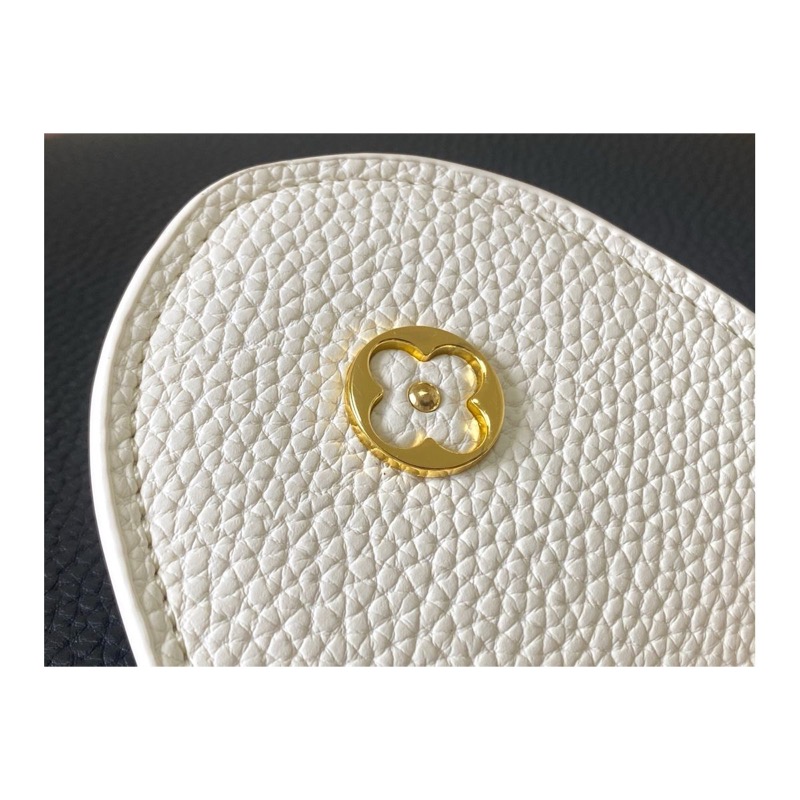 Louis Vuitton Capucines Bag