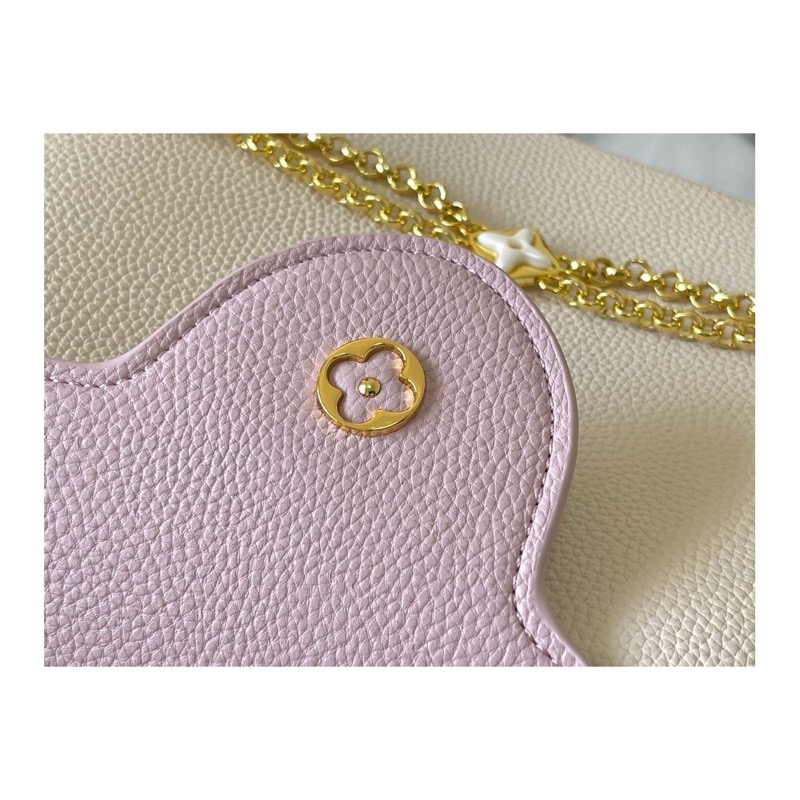 Louis Vuitton Capucines Bag