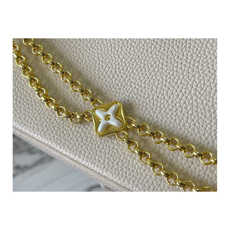Louis Vuitton Capucines Bag