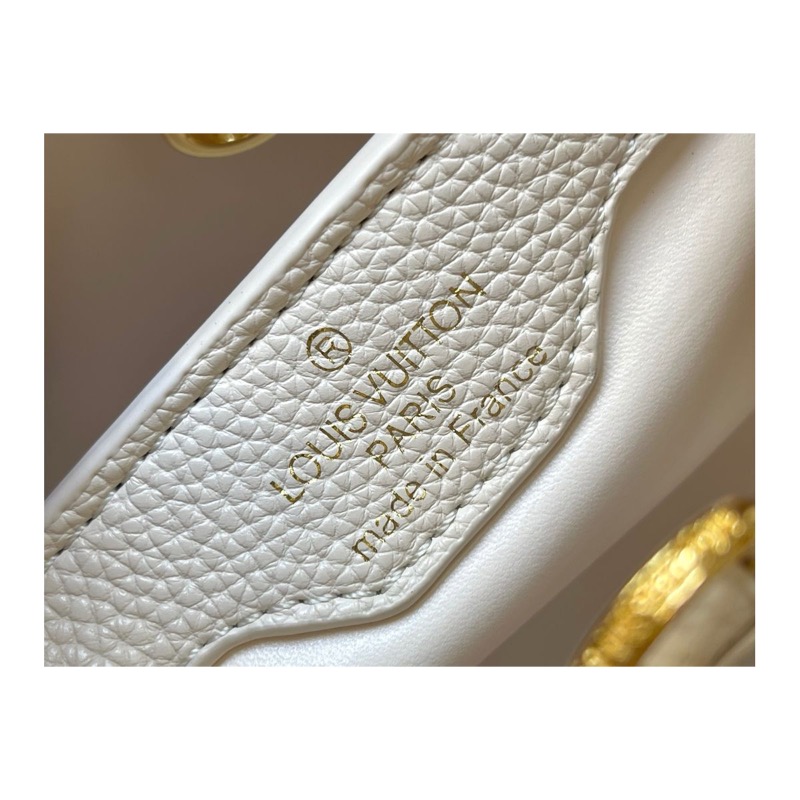 Louis Vuitton Capucines Bag