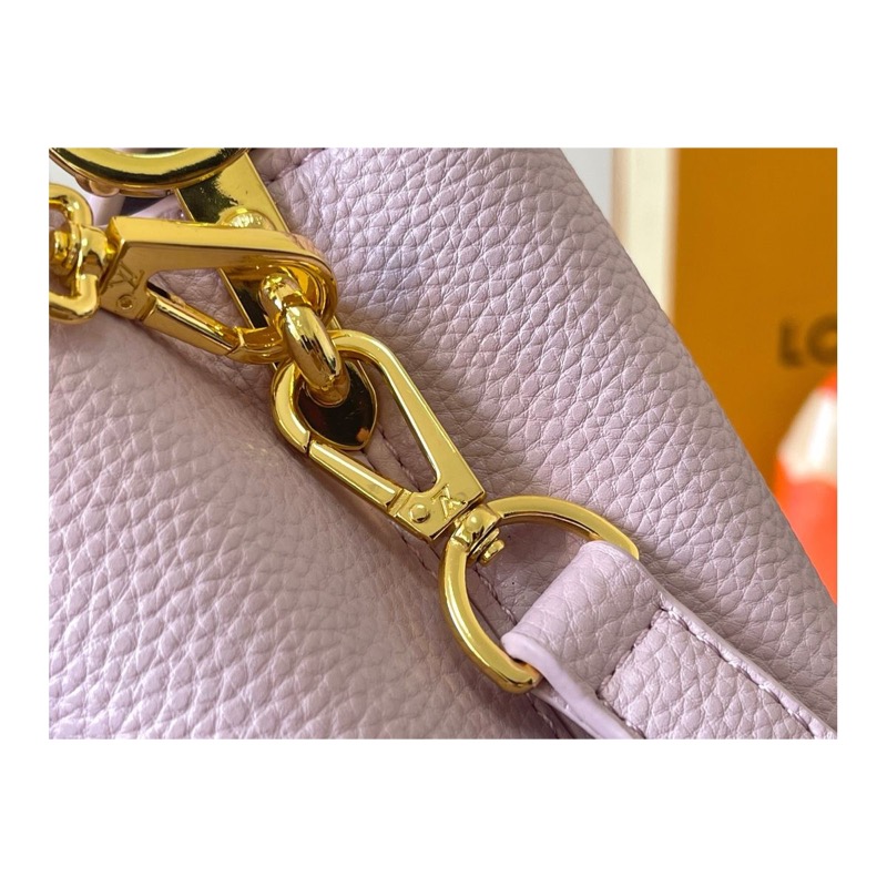 Louis Vuitton Capucines Bag