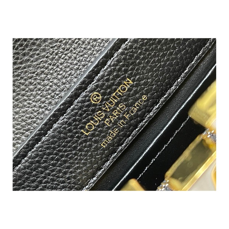 Louis Vuitton Capucines Bag