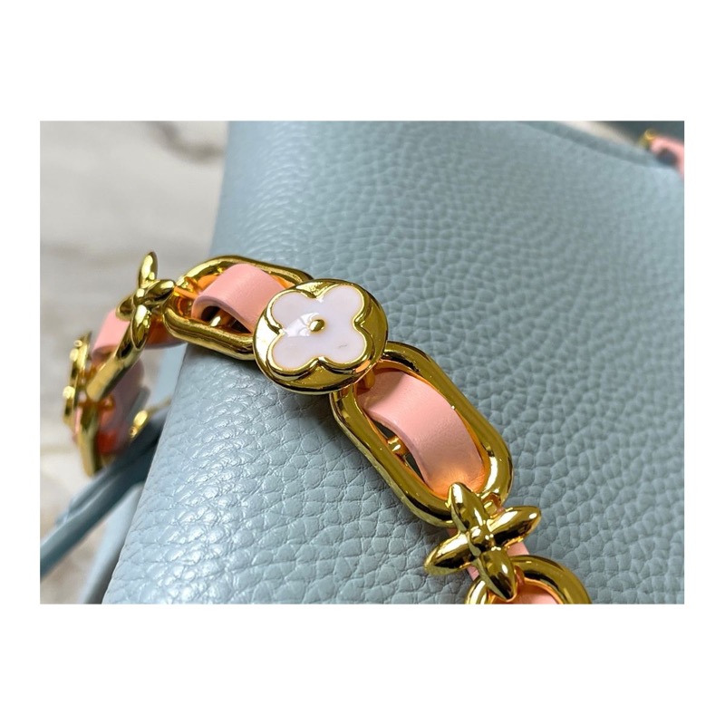 Louis Vuitton Capucines Bag