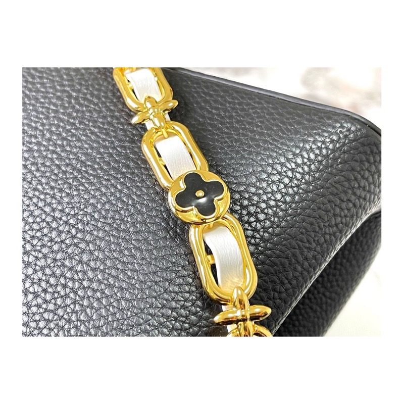 Louis Vuitton Capucines Bag