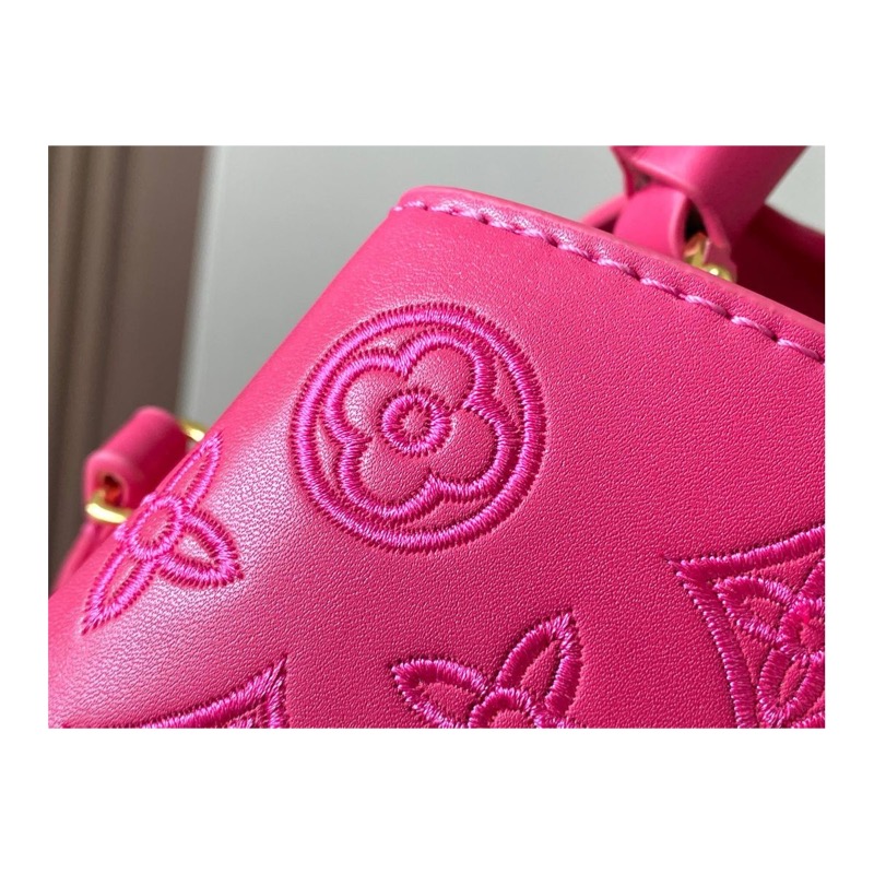 Louis Vuitton Capucines Bag