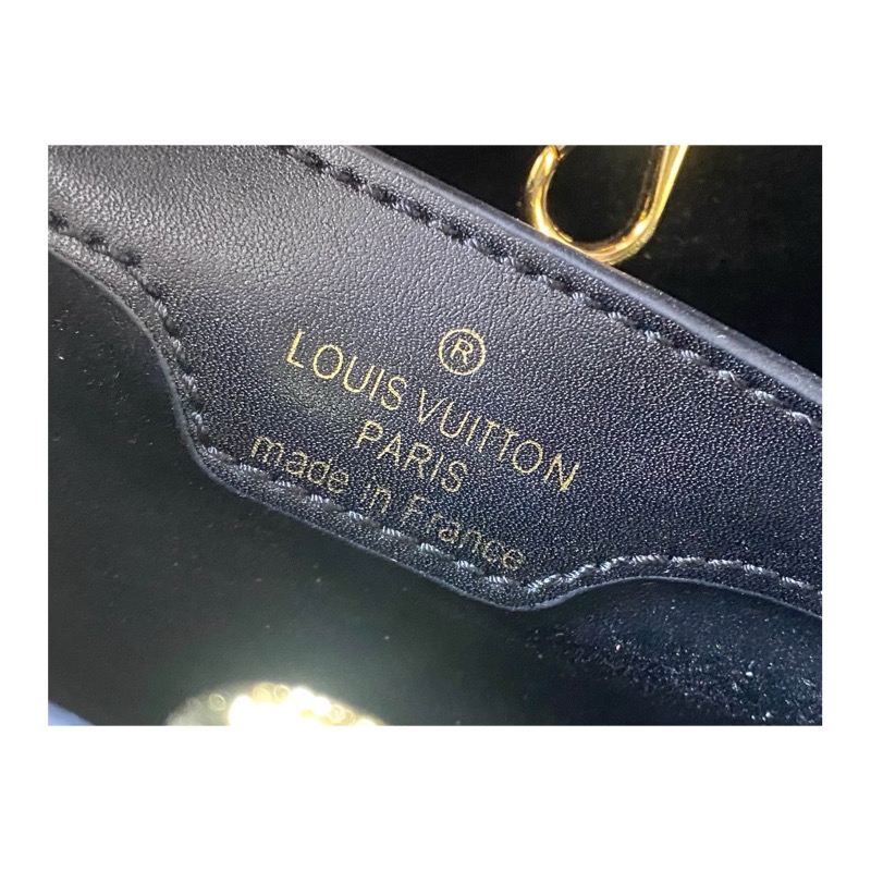 Louis Vuitton Capucines Monogram Bag