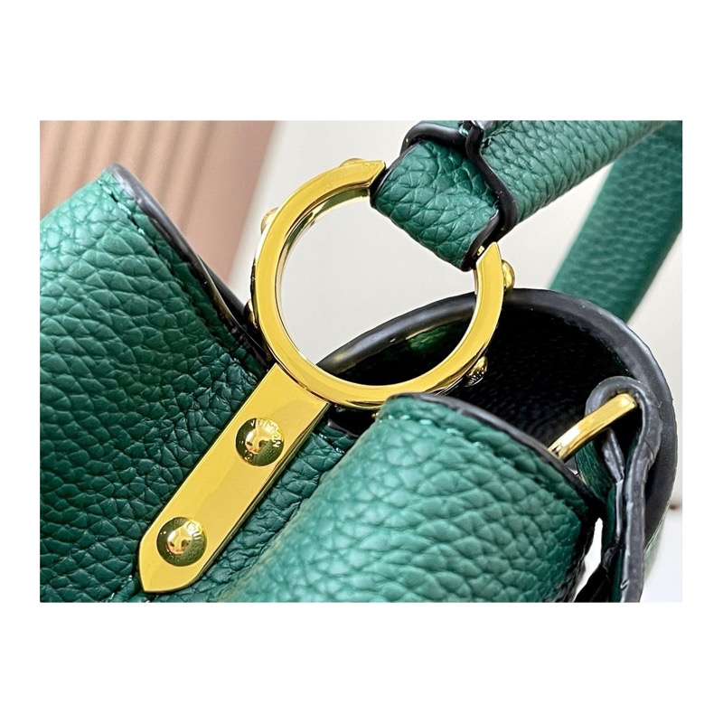 Louis Vuitton Capucines Bag