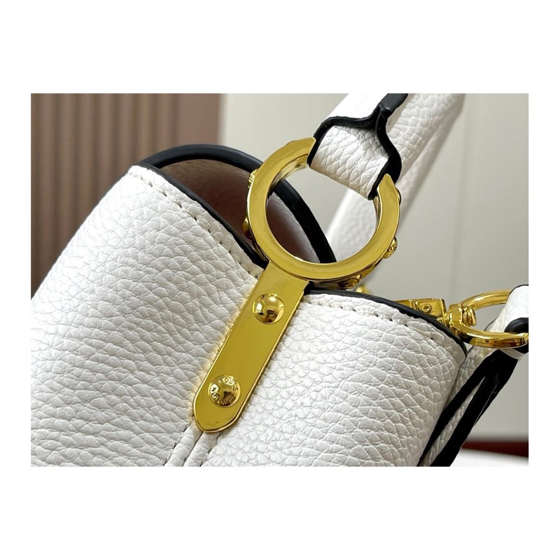 Louis Vuitton Capucines Bag