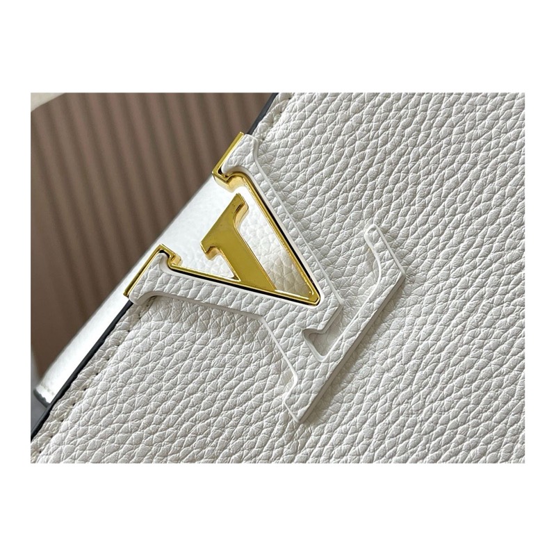 Louis Vuitton Capucines Bag