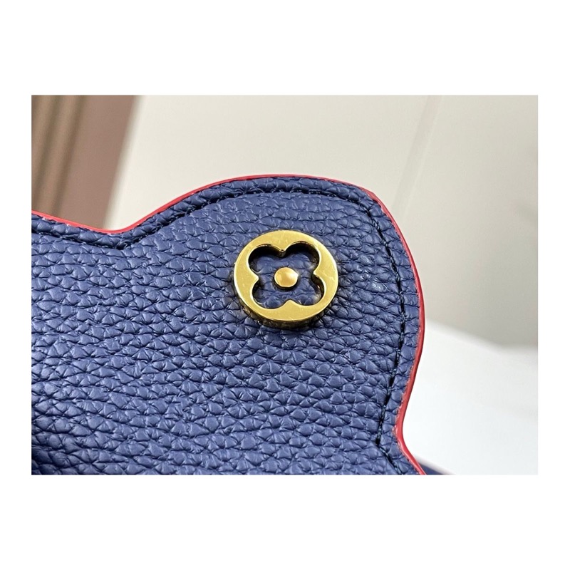Louis Vuitton Capucines Bag