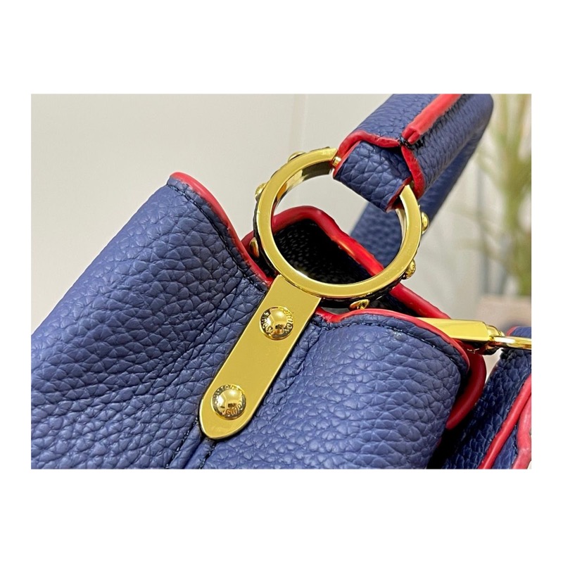 Louis Vuitton Capucines Bag
