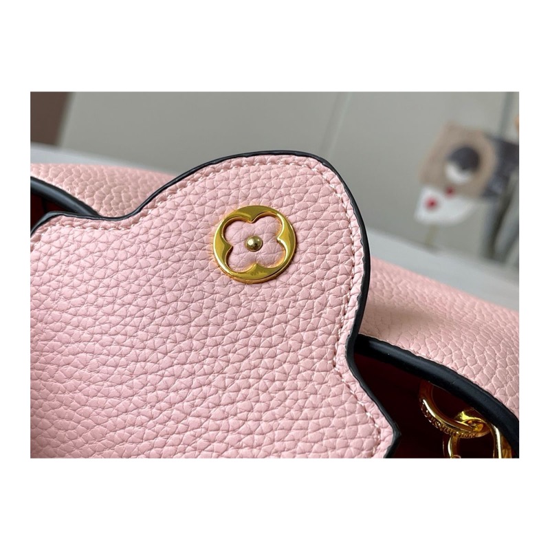 Louis Vuitton Capucines Bag