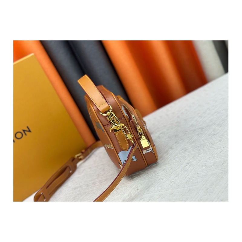 Louis Vuitton Crossbody Bag