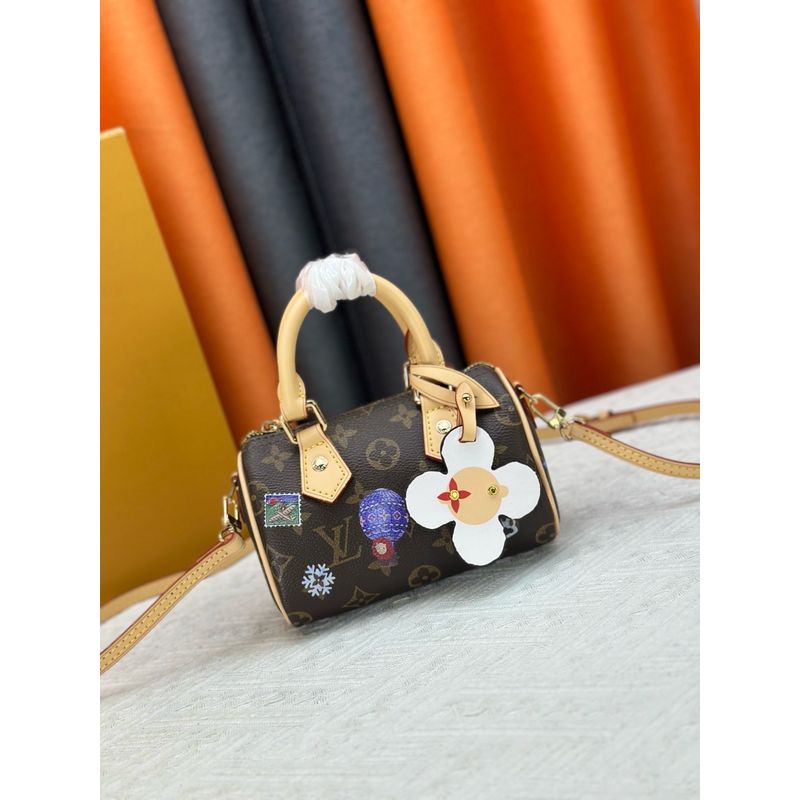 Louis Vuitton Speedy Monogram Bag