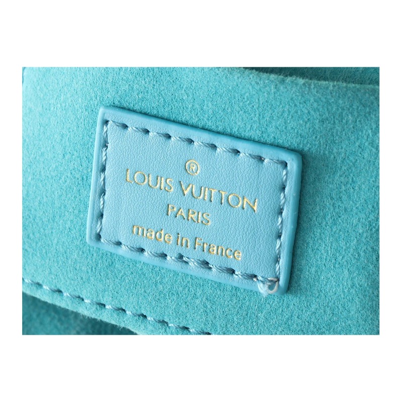 Louis Vuitton Speedy Monogram Bag