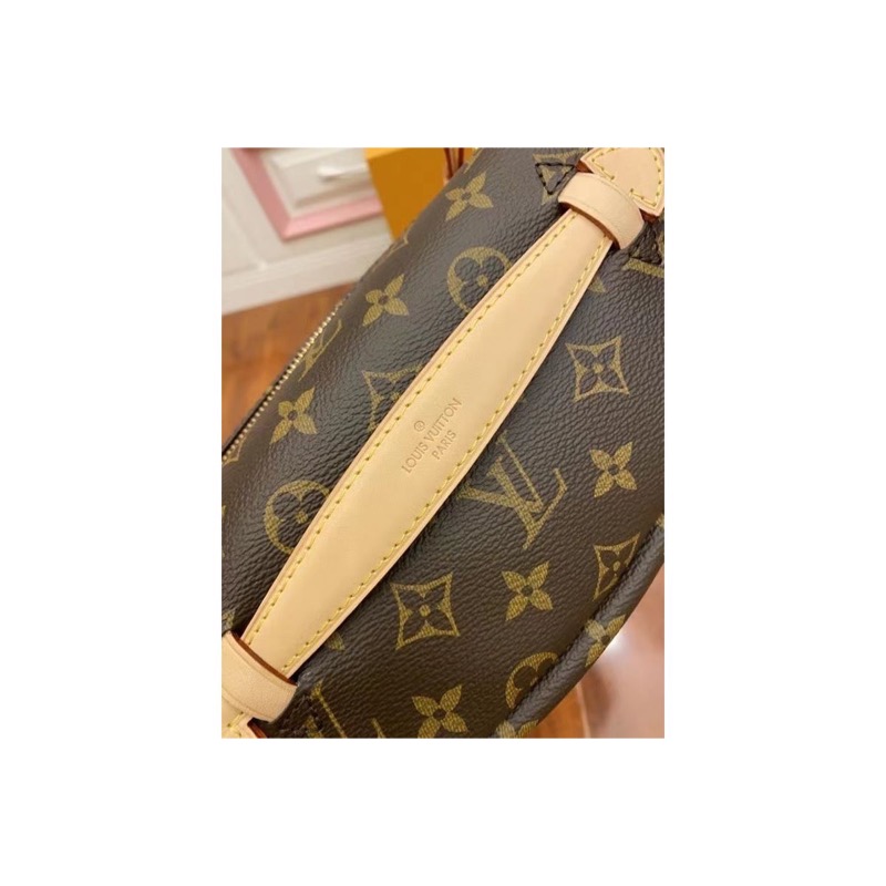 Louis Vuitton Monogram Crossbody Bag