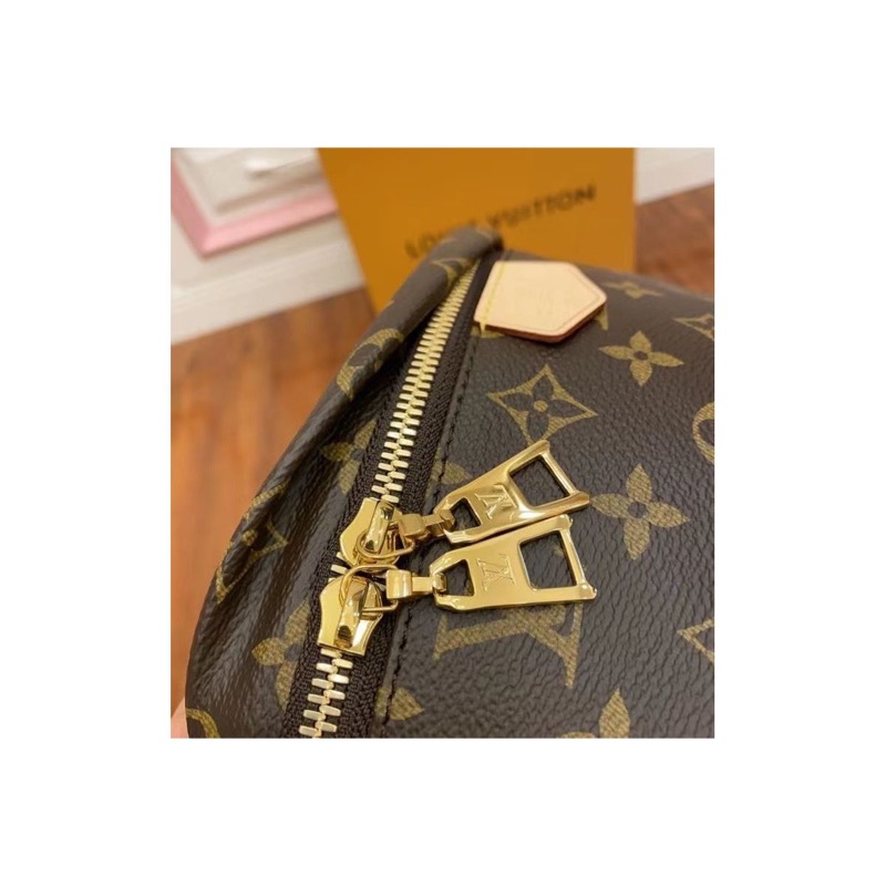 Louis Vuitton Monogram Crossbody Bag