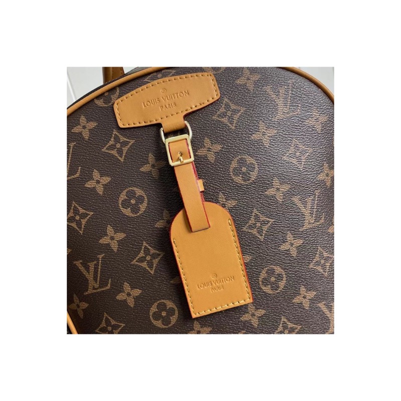 Louis Vuitton Monogram Backpack