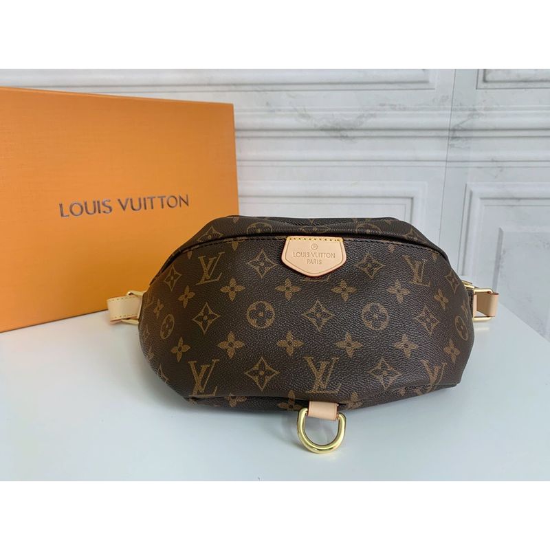 Louis Vuitton Speedy Monogram Bag