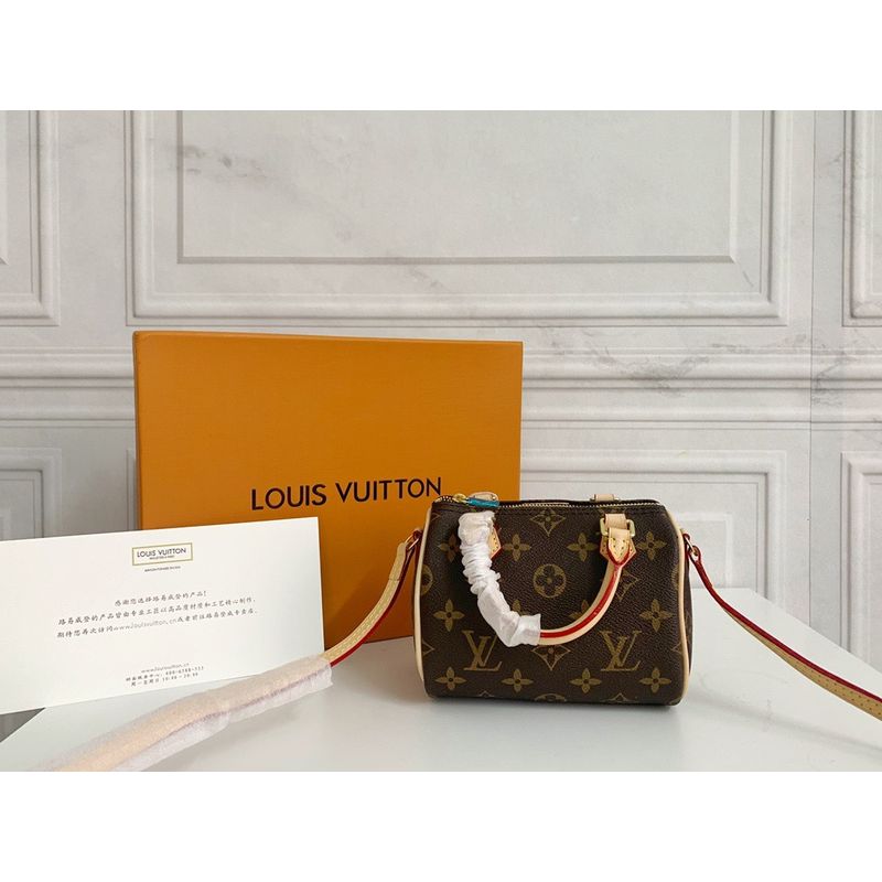 Louis Vuitton Speedy Monogram Bag