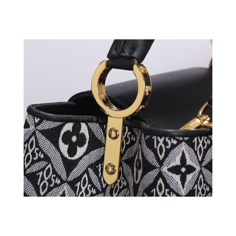 Louis Vuitton Capucines Monogram Bag